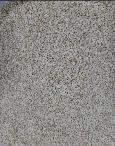 Natural White Sesame Seed For Cooking