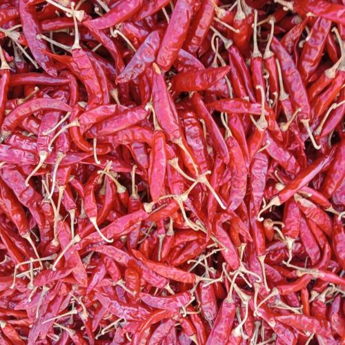 Raw S10 Dry Red Chilli For Cooking