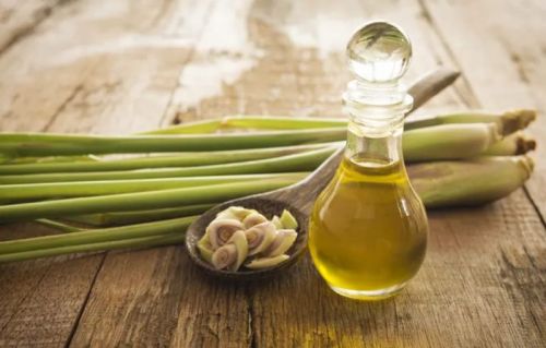 Citronella Oil For Essential Products Use