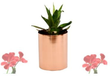 Plain Polished Copper Planter, Shape : Round