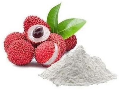 Spray Dried Lychee Powder, Packaging Type : Packet