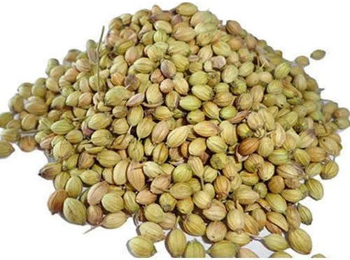 Natural Coriander Seeds, Grade Standard : Food Grade