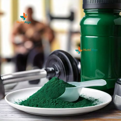 Organic Green Spirulina Powder, Packaging Type : Paper Box, Plastic Can, Plastic Pouch For Support Immune Health