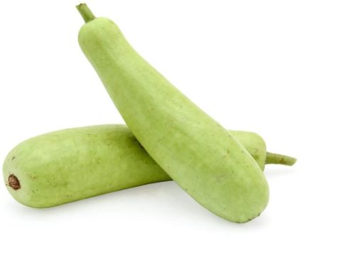 Fresh Bottle Gourd, Packaging Type : Carton Box