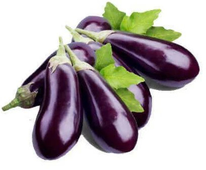 Fresh Brinjal, Packaging Size : 20Kg