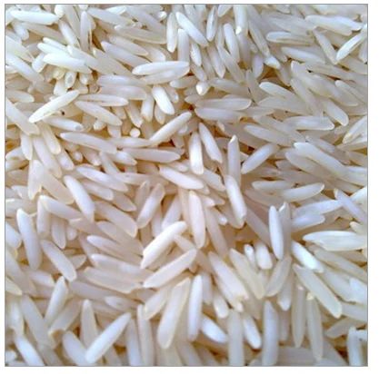 Common Polished Pusa Basmati Rice For Cooking