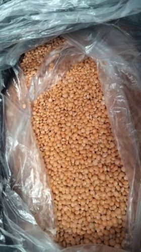 Non-GMO Quick-cooking Red Split Lentils, Packaging Size : 50kg