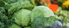 Cabbage, Packaging Size : 5 Kg