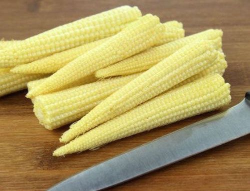 Fresh Baby Corn For Human Consumption