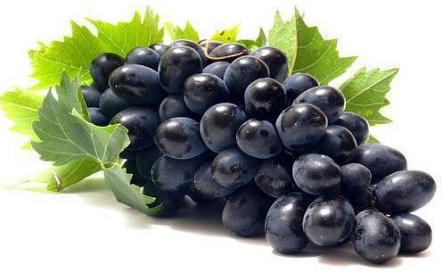 Fresh Black Grapes, Taste : Sweet