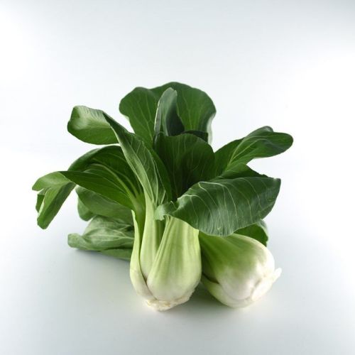 Natural Fresh Bok Choy For Human Consumption