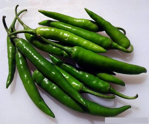 Natural Fresh Green Chilli For Human Consumption