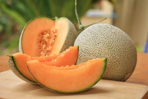 Natural Fresh Muskmelon For Human Consumption