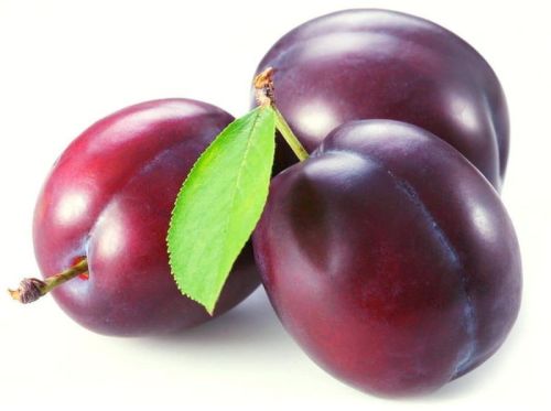 Natural Fresh Plums For Human Consumption