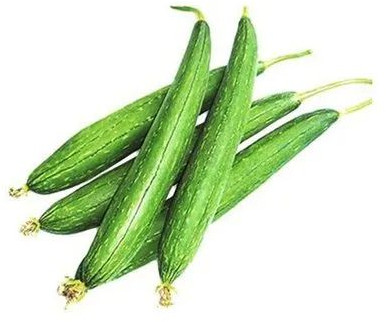 Fresh Sponge Gourd, Color : Green