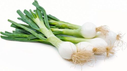 Fresh Spring Onion For Human Consumption