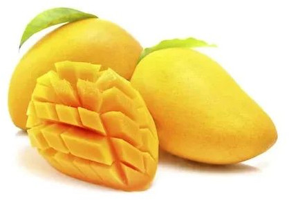 Natural Mango Safeda, Certification : FSSAI Certified