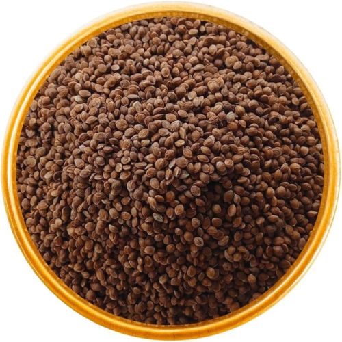 Organic Kodo Millet Seeds, Variety : Natural