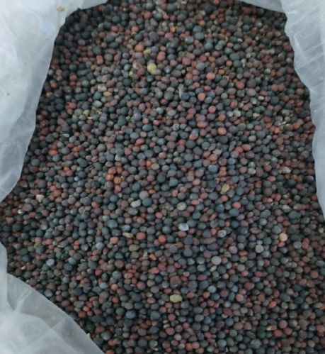 Organic Canola Seeds, Packaging Size : 50kg