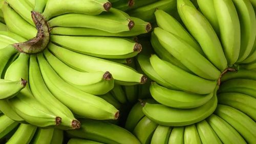 Natural G9 Green Banana, Packaging Size : 5-10kg