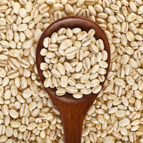 Organic Barley, Color : Creamy, Certification : FSSAI