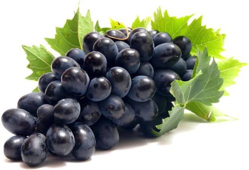 Natural Black Grapes, Packaging Type : Carton