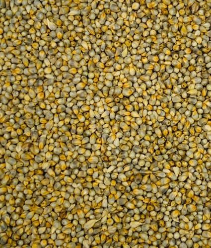 Organic Fine Processed Millet, Color : Light Green 10% Dried