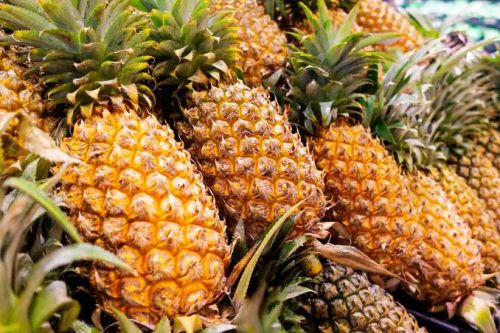 Pineapple, Certification : FSSAI Certified, Packaging Type : Bag