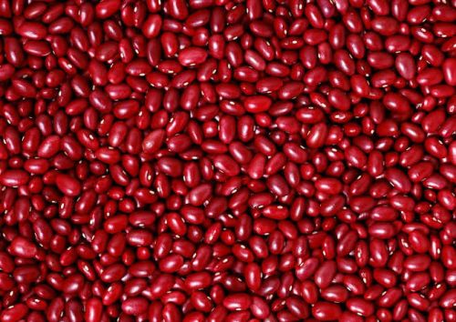 Organic red kidney beans, Packaging Size : 25Kg, 50Kg, 10Kg, 20Kg