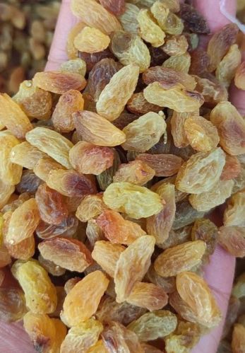 Dried Raisin For Human Consumption