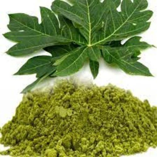 Natural Organic Papaya Leaf Powder For Medicines Products, Cosmetics