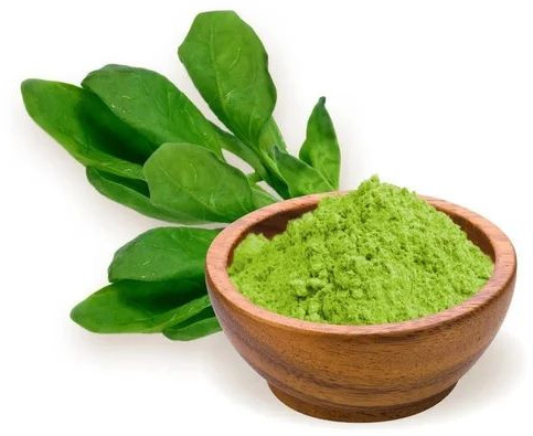 Spinach Powder For Human Consumption