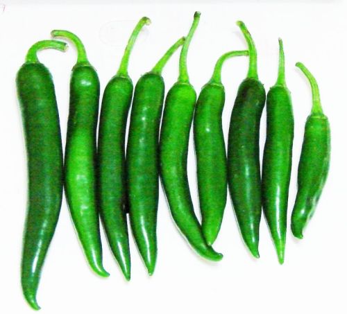 Natural Export Quality Green Chilli For Cooking