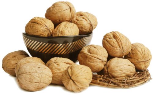 Walnut Akhrot (Jumbo) For Oil, Herbal Formulation, Ayurvedic Formulation