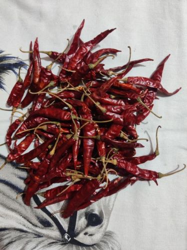 S17 Teja Red Chilli, Packaging Type : Bag