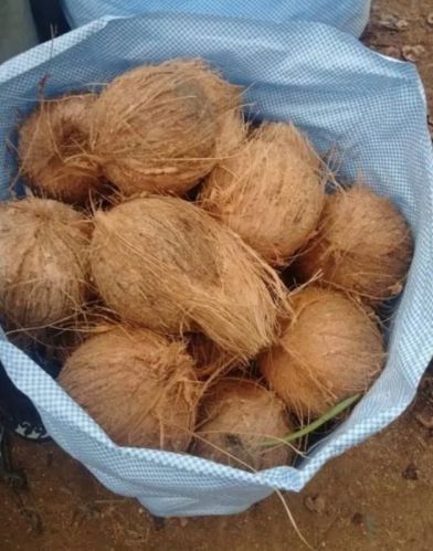 Raw Natural Husked Coconut, Color : Brown, Form : Solid