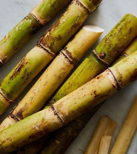 Natural Common Fresh Sugarcane, Speciality : Sweet Taste