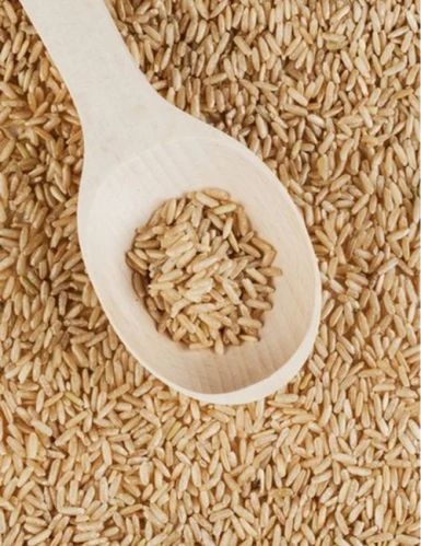 Hard Common Natural Brown Rice For Human Consumption