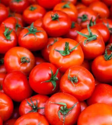 Natural Fresh Tomato, Packaging Type : Carton