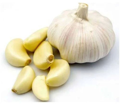Fresh Natural Garlic, Packaging Type : Plastic Bags