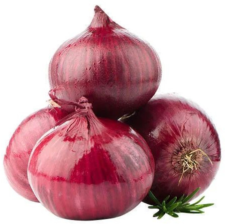 Fresh Red Indian Onion For Human Consumption