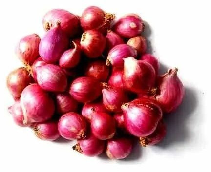 Red Small Onion For Human Consumption