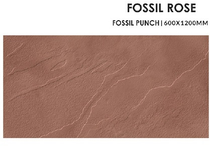 Fossil Rose Ceramic Floor Tiles For Interior