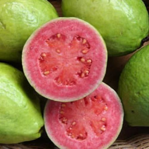 Fresh Pink Guava For Human Consumption