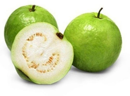 Fresh White Guava For Human Consumption