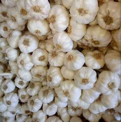 Natural Desi Garlic, Color : White, Packaging Size : 20 Kg
