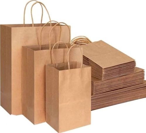 Plain Paper Carry Bags, Technics : Machine Made