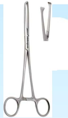 Polished Straight Allis Tissue Forceps For Clinical, Hospital