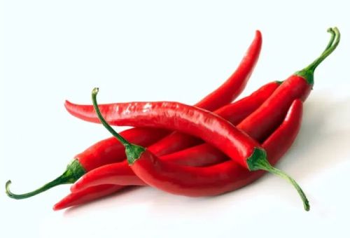 Fresh Red Chilli For Cooking