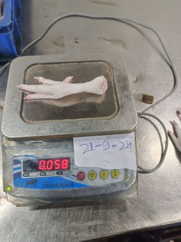 Chicken Paw, Freezing Process : Cold Store Freezing